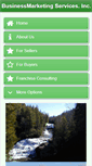 Mobile Screenshot of bizmarketingservices.com